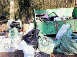 Úklid lesa 6.4.2019 Praha