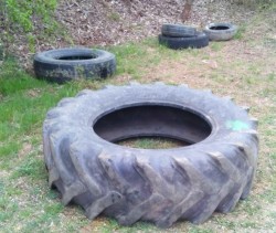 Pneumatiky v přírodě