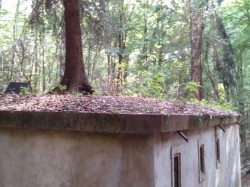 Příroda se přizpůsobuje