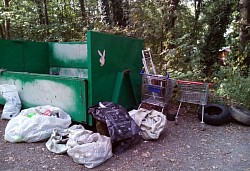 Úklid lesa v Hodkovičkách 19.9.2020