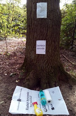 Místo pro desinfekci na úklidu lesa v Hodkovičkách 19.9.2020