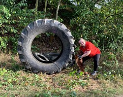 Úklid lesa v Hodkovičkách 19.9.2020