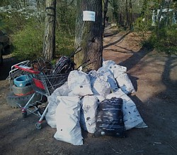 Úklid lesa v Hodkovičkách duben 2021