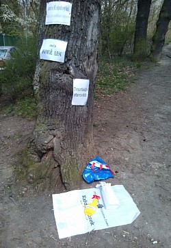 Úklid lesa v Hodkovičkách duben 2021