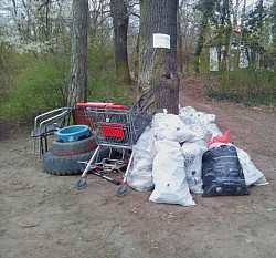 Úklid lesa v Hodkovičkách duben 2021