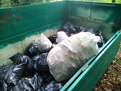 Úklid lesa v Hodkovičkách 18 září