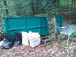 Úklid lesa  v Hodkovičkách 18 září