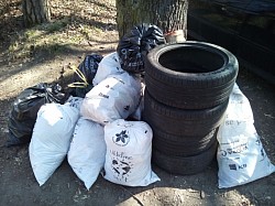 Úklid lesa v Hodkovičkách 27.3 2022